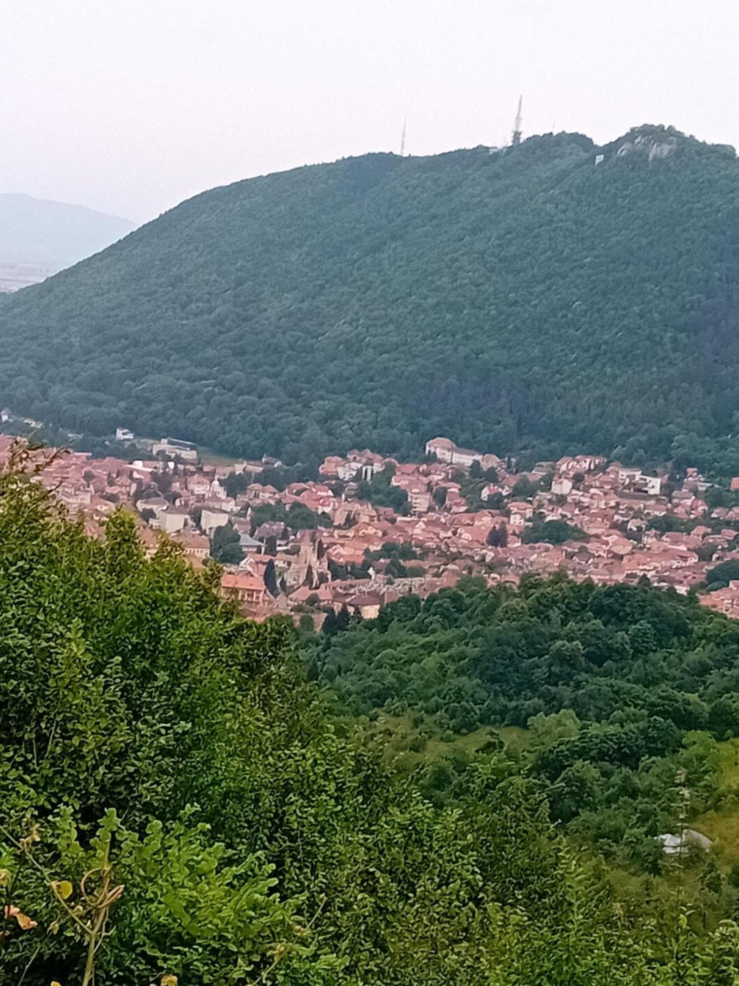 Cosy Hideaway Apartment Brasov Luaran gambar