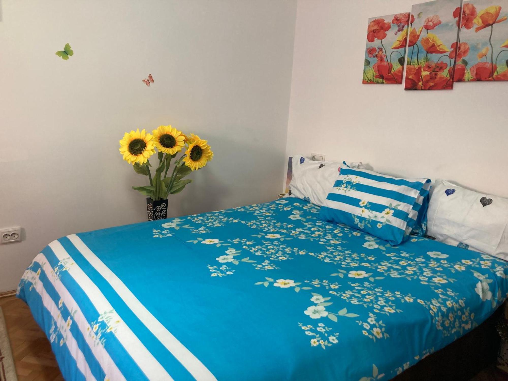 Cosy Hideaway Apartment Brasov Luaran gambar